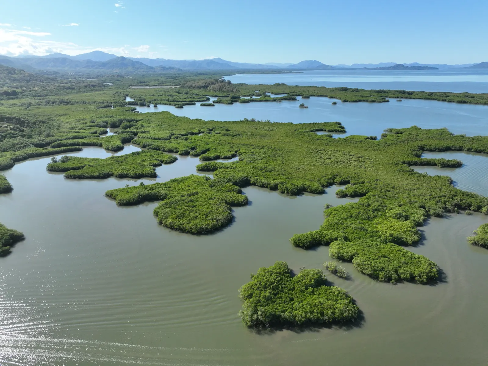 Mangrove islands in the Gulf of Nicoya (aerial)